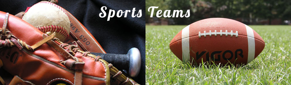 Sports teams, football, baseball, hockey, minor league teams in the Flemington, Hunterdon County NJ area